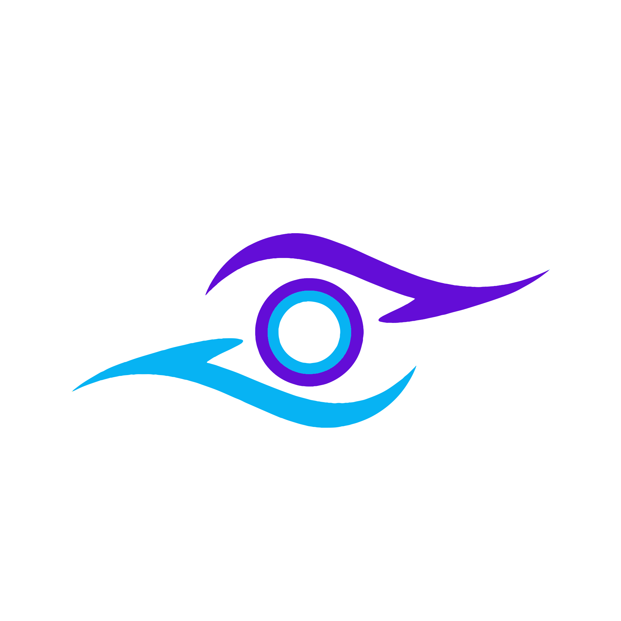 BLUE LINE PROTECTION SERVICES
